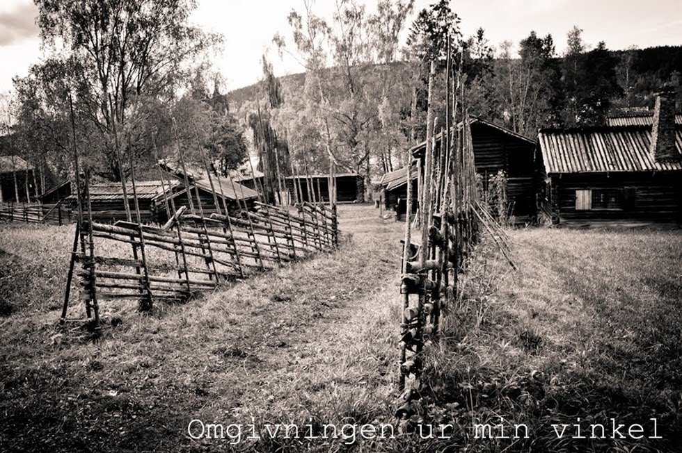 Omgivningen ur min vinkel