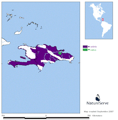 Ridgway´s Hawk map