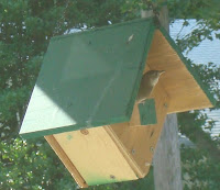 Wren Bird House Plans