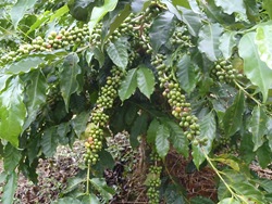 Rota 2 (168)