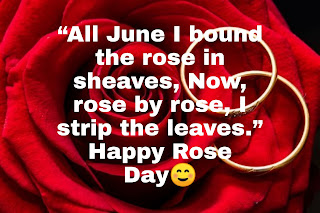 rose day meaning