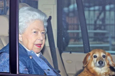 Queen Elizabeth II and her corgis