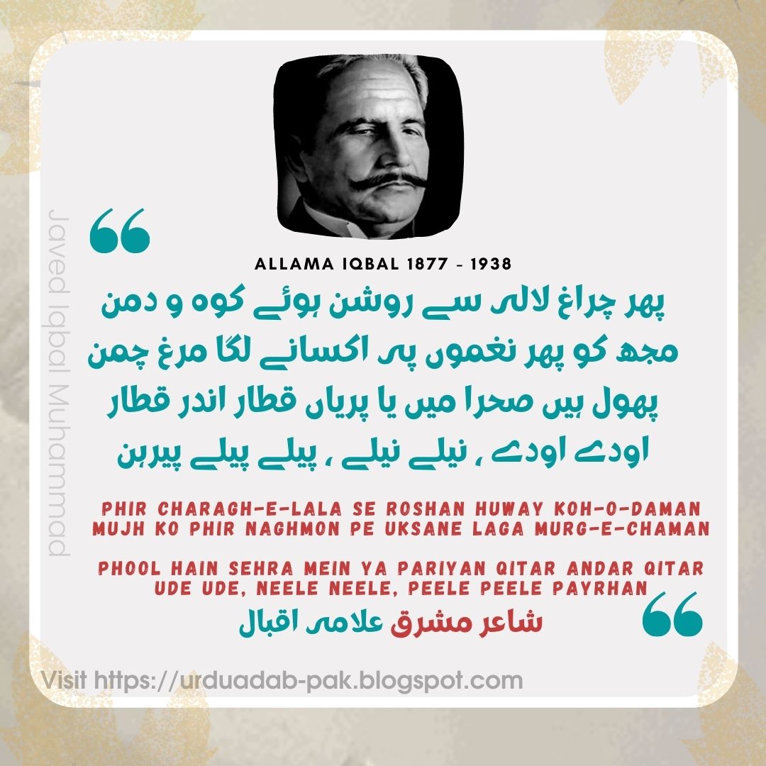 Best Allama iqbal famous poetry | iqbal poetry in urdu 2 lines | Allama iqbal shayari in hindi  | Allama iqbal shayari | Allama Iqbal Shayari in Urdu Images | whatsapp status Allama iqbal shayari  |  instagram Allama iqbal shayari  | Allama iqbal words