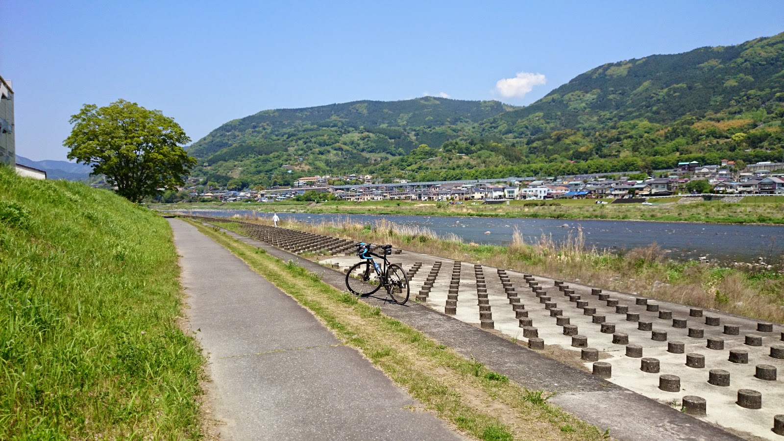 カッパの川流れ 酒匂川サイクリングコース