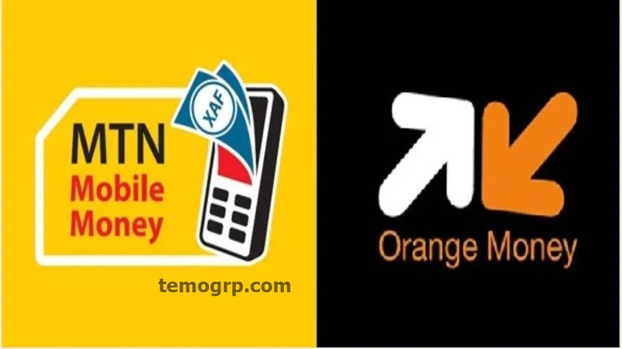 Transfert Orange Money Vers MTN Money Cameroun (Code)