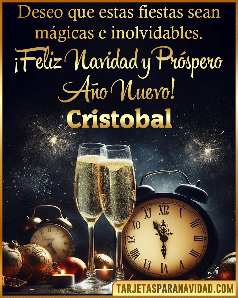 Feliz Navidad y Próspero Año Nuevo Cristobal