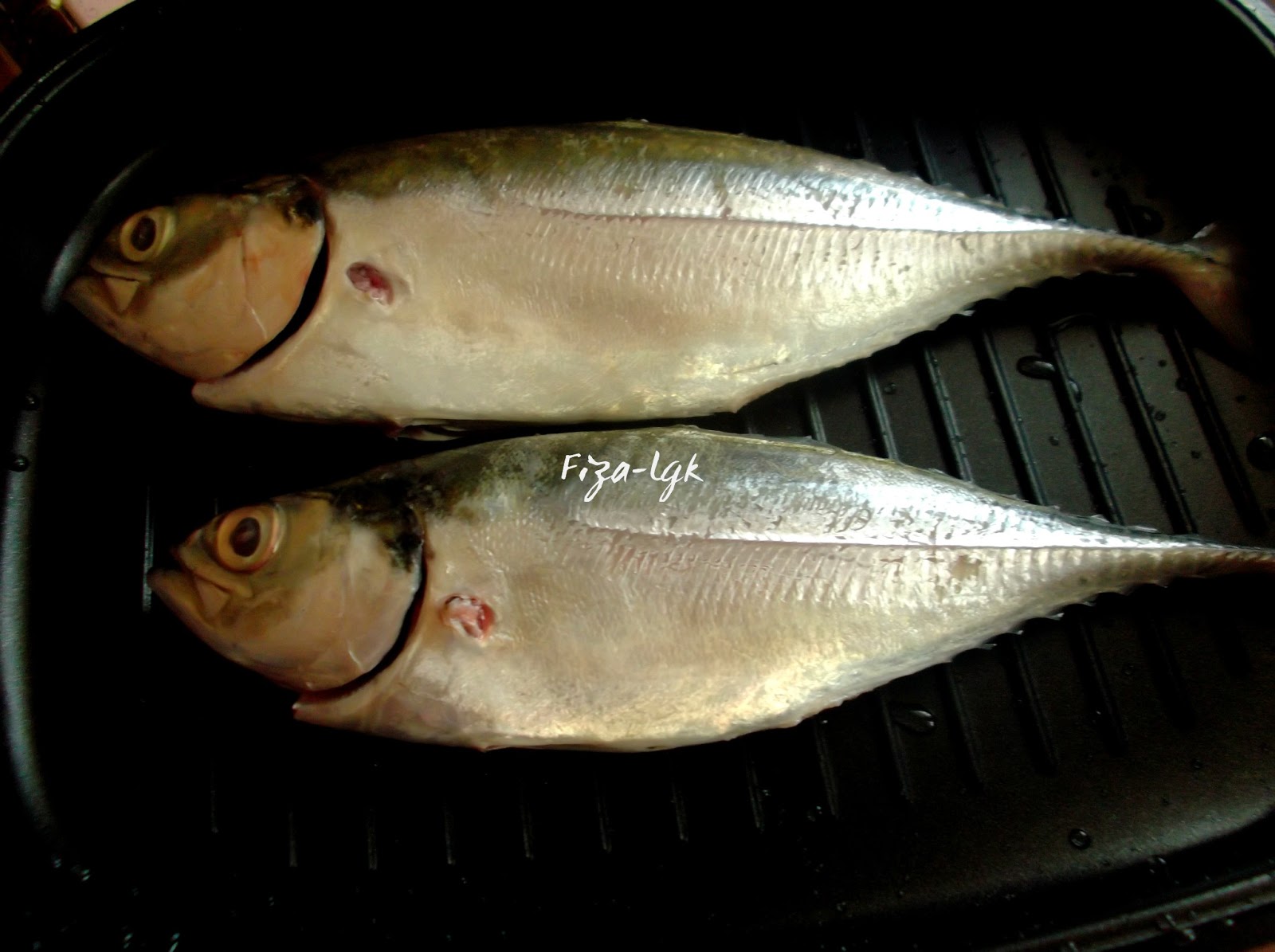 MASAK LEMAK CILI PADI IKAN CENCARU BAKAR  Fiza's Cooking