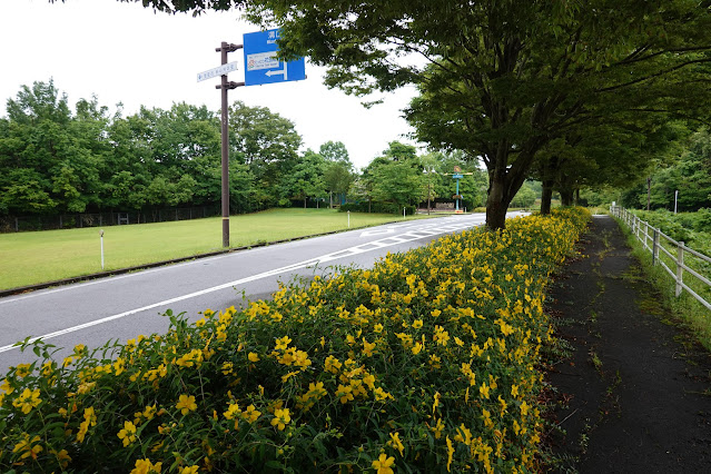 鳥取県西伯郡南部町鶴田