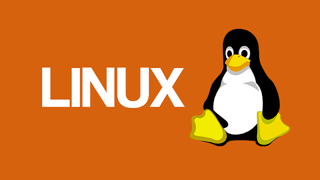 Contoh soal linux dan jawabannya essay