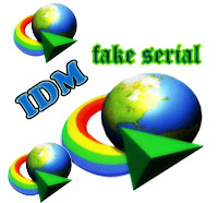 IDM Fake Serial Number