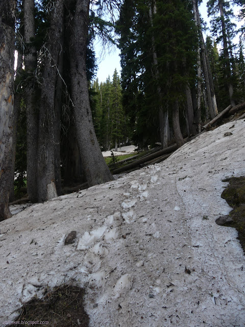 29: snow drift on trail