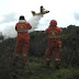 Incendi,stato di allerta in tutto il territorio
