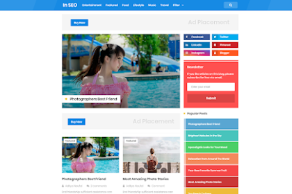 Free Download In SEO Pro Responsive Blogger Template