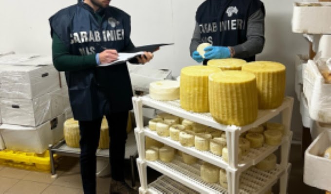 Sequestrate 17.500 confezioni di conserve con irregolarità nell'etichettatura