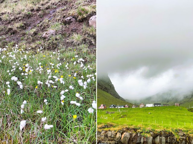 villaggio Syðradalur kalsoy faroe