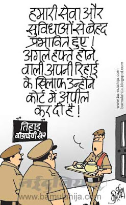 suresh kalmadi cartoon, cwg cartoon, corruption cartoon, corruption in india, indian political cartoon