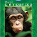 Chimpanzee (2012)