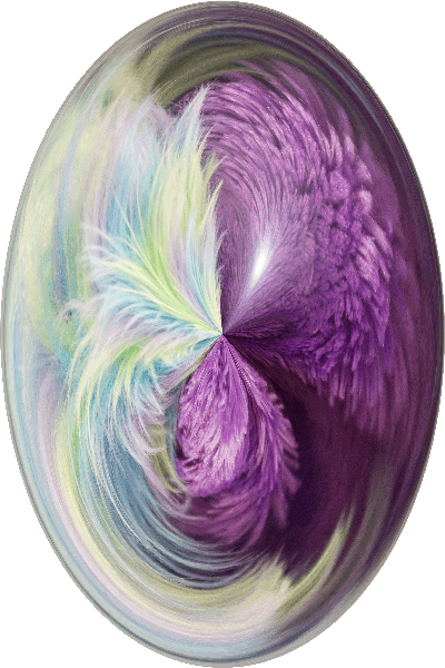maybe-egg-trans