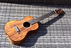 World Of Ukes Pioneer T1 Tenor Ukulele