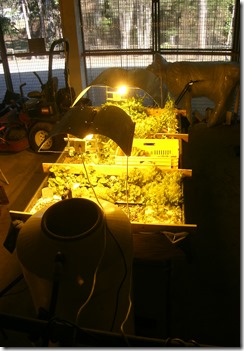 GEDC0310