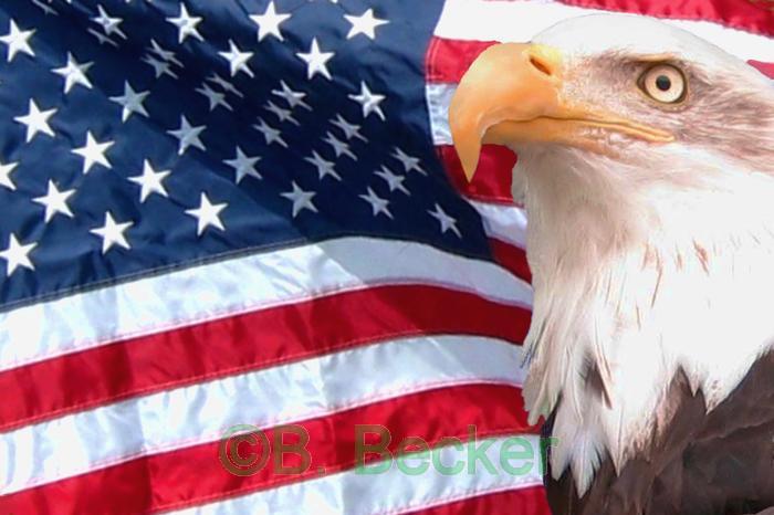 american flag wallpaper. american flag eagle wallpaper.