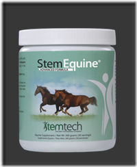 StemEquine