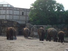 Tierpark Berlin