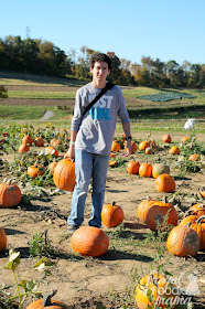 Let every member of the family pick their own pumpkin at the patches at Triple B Farms.