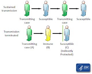 CDC graphic explaining herd immunity