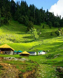 tungnath