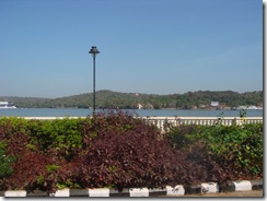 DSC03765