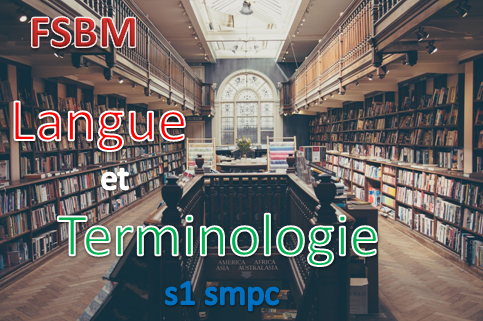 Faculté des Sciences Ben M'Sik Langue et Terminologie s1 smpc