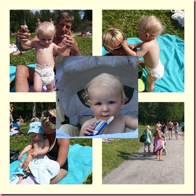 songsvann4
