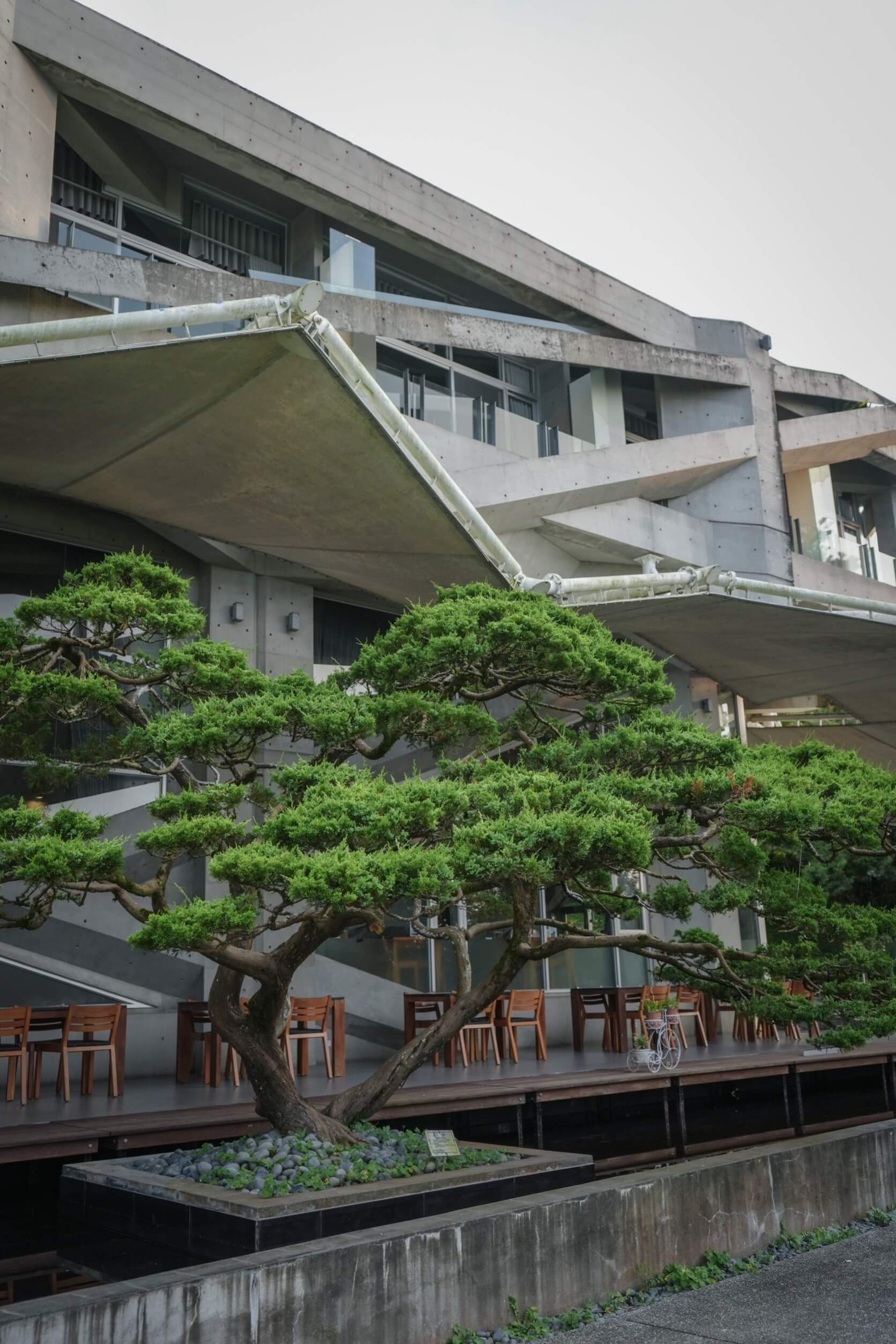 雲林秘境景點【華山觀止-虫二行館】半山腰上的景觀餐廳適合來這裡放鬆身心