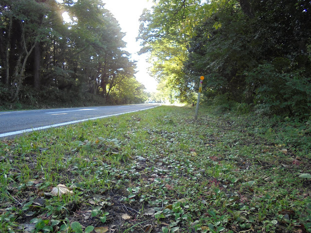 24号道路の米子大山線