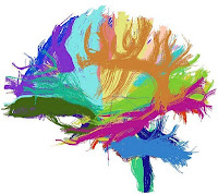 colorful world of tractography