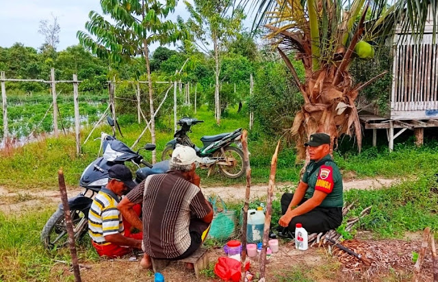 Babinsa Jesben Hutagalung Bina Petani untuk Meningkatkan Produksi Pertaniannya