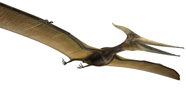 Resultado de imagem para pterossauro