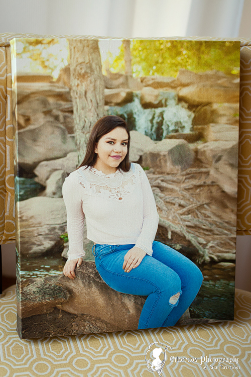 Professional photograph of an Atrisco high school senior on top at the UNM Duck Pond Albuquerque