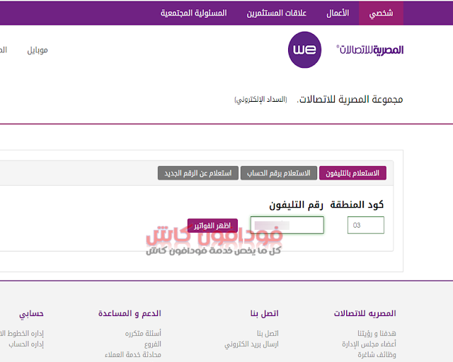 دفع فاتورة النت we بالفيزا