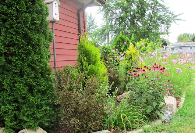 Backyard Blooms a Summer Garden Tour