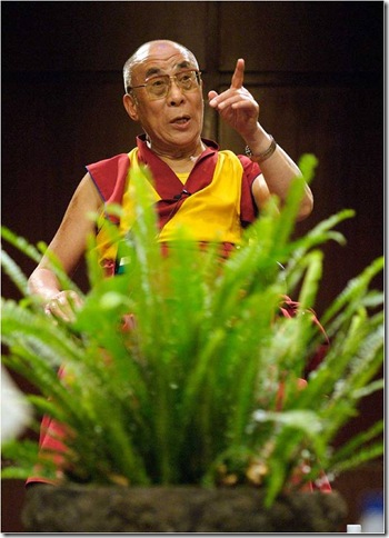 圖片5
