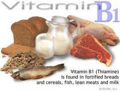 vitamin b1 thiamine sources