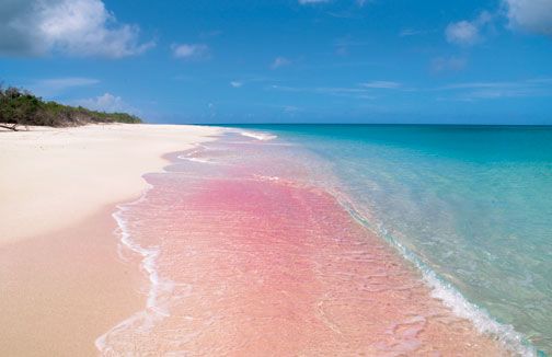  Barbuda, Pantai Indah dengan Pasir Merah Muda