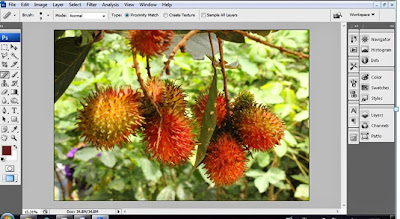 Membuat imbas foto bercak noda dengan photoshop Membuat imbas foto bercak noda dengan photoshop