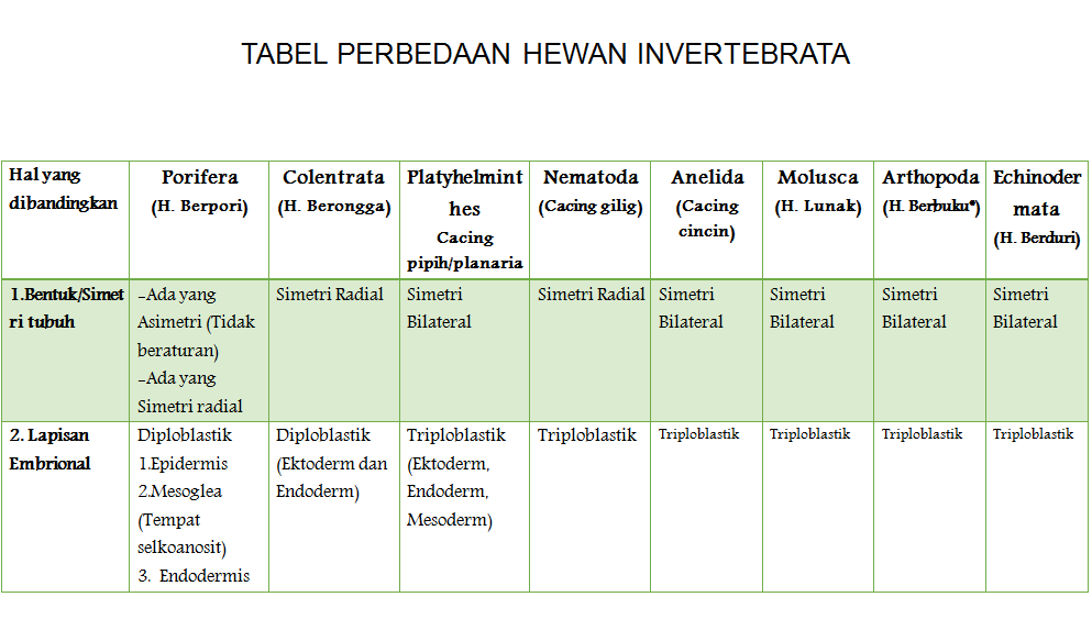 Utak Atik Tugas TABEL  PERBEDAAN  HEWAN  INVERTEBRATA