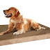 YOUR GUIDE TO BUYING A COSY AND BEST BED FOR YOUR DOG
