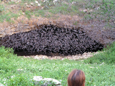 Bracken cave, Texas