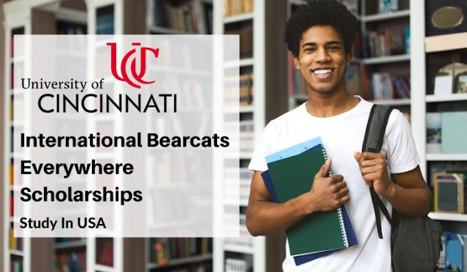 International Bearcats Any where Scholarships in USA