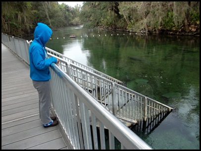 Site 20 Blue Springs 075